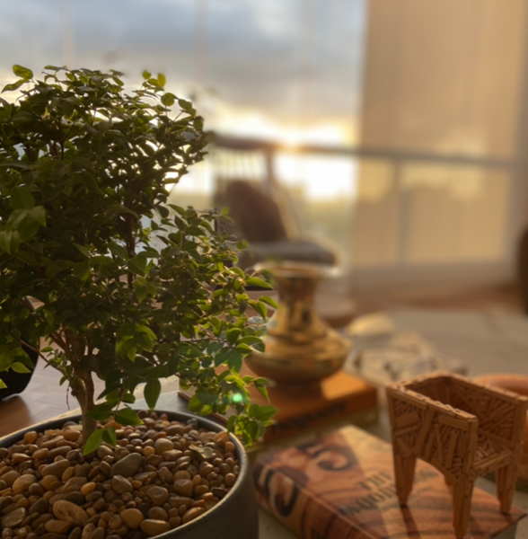 Produção de Objetos